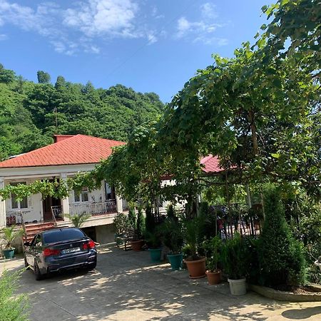 Guesthouse Mtsvane Koncxi 22 Mtsvane Kontskhi Zewnętrze zdjęcie
