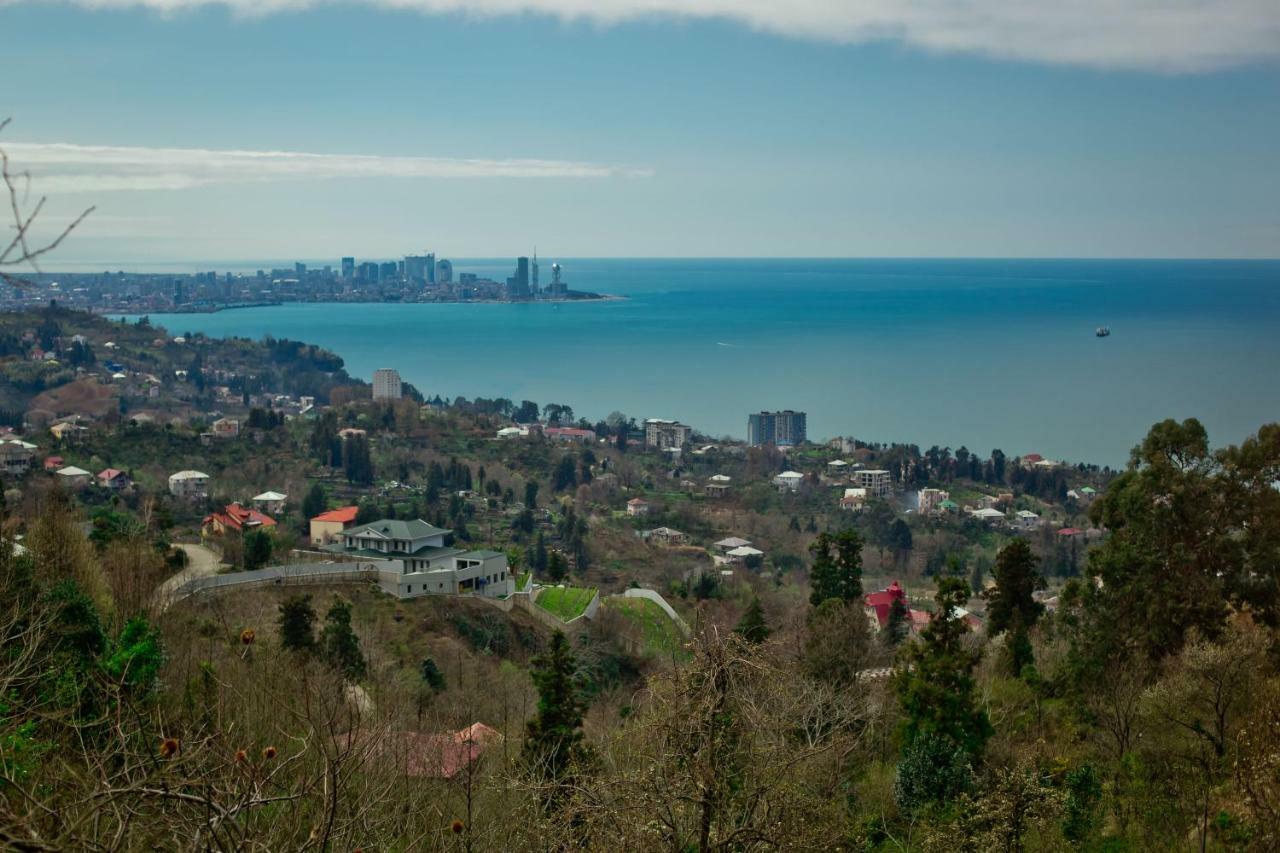 Guesthouse Mtsvane Koncxi 22 Mtsvane Kontskhi Zewnętrze zdjęcie