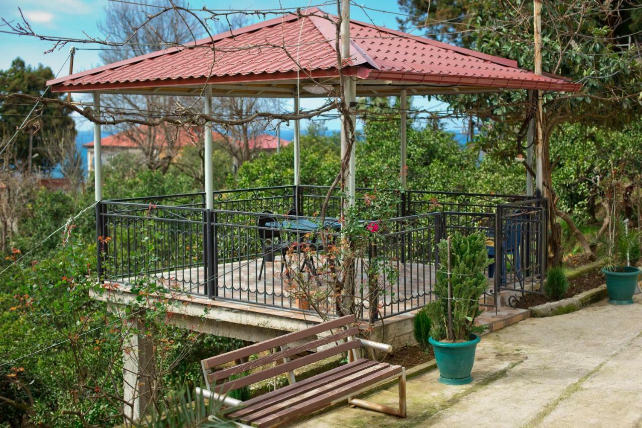 Guesthouse Mtsvane Koncxi 22 Mtsvane Kontskhi Zewnętrze zdjęcie